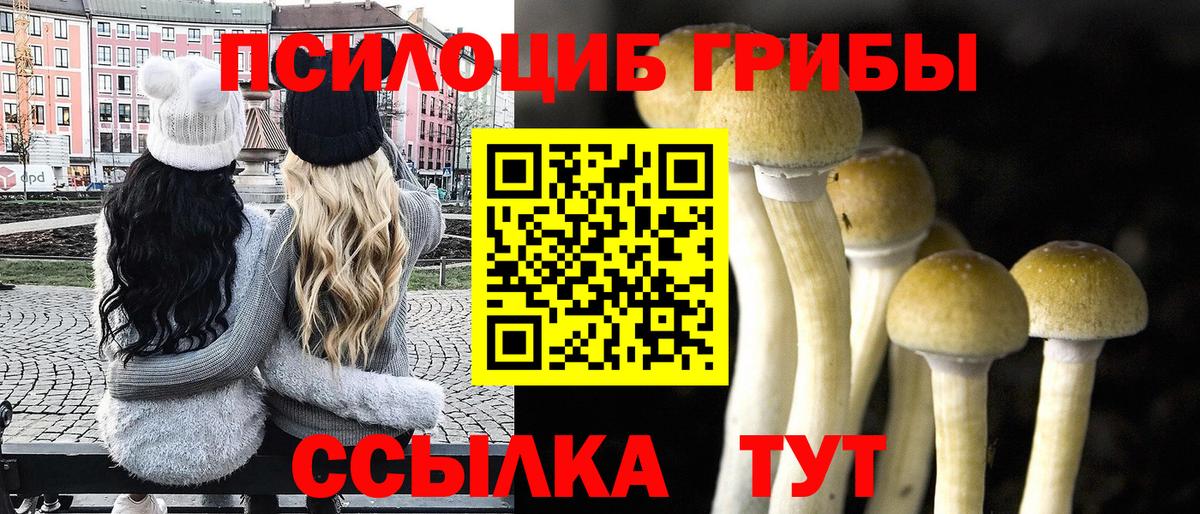 Псилоцибиновые грибы Psilocybine cubensis  Вход с VPN  Назрань 