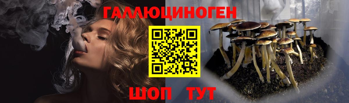Псилоцибиновые грибы Psilocybine cubensis Назрань